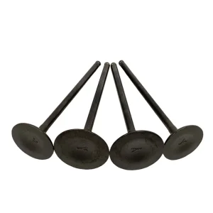 【Price Drop !!】 For Kawasaki KLX300 KLX300R 12004-1111, 12005-0031, BR250, Z250SL Replacement Intake& Exhaust Valve Stems(4Pcs)