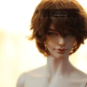 ndsome uncle suit joint movable gift Makeup from stockNew toy BJD SD doll 1/3 65cm young man boy Evan ha